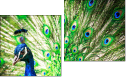 Diptychon