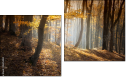 Diptychon