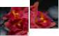 Diptychon