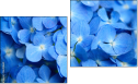 Diptychon