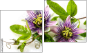 Diptychon