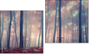Diptychon