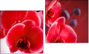 Diptychon