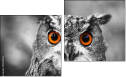 Diptychon