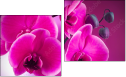 Diptychon