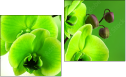 Diptychon