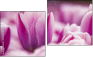 Diptychon