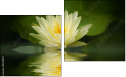 Diptychon