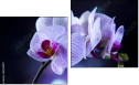 Diptychon
