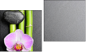 Diptychon