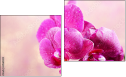 Diptychon
