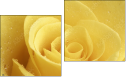 Diptychon