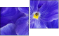 Diptychon