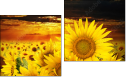 Diptychon