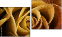 Diptychon