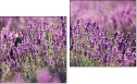 Diptychon