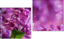 Diptychon