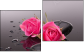 Diptychon