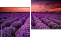 Diptychon