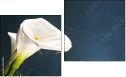 Diptychon