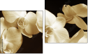 Diptychon