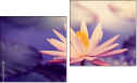 Diptychon