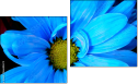 Diptychon