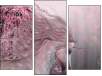 Triptychon