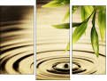 Triptychon
