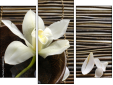Triptychon