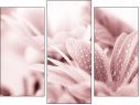 Triptychon