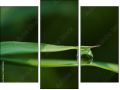 Triptychon