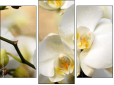 Triptychon