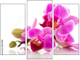 Triptychon