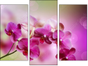 Triptychon