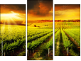 Triptychon