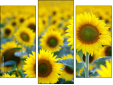 Triptychon