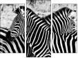 Triptychon