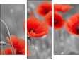 Triptychon