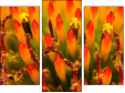 Triptychon