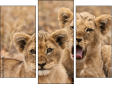 Triptychon