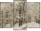 Triptychon