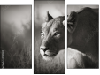 Triptychon