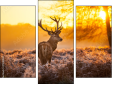 Triptychon