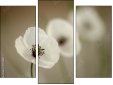 Triptychon