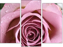 Triptychon