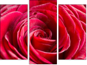 Triptychon