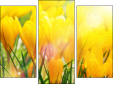 Triptychon