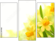 Triptychon