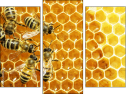 Triptychon